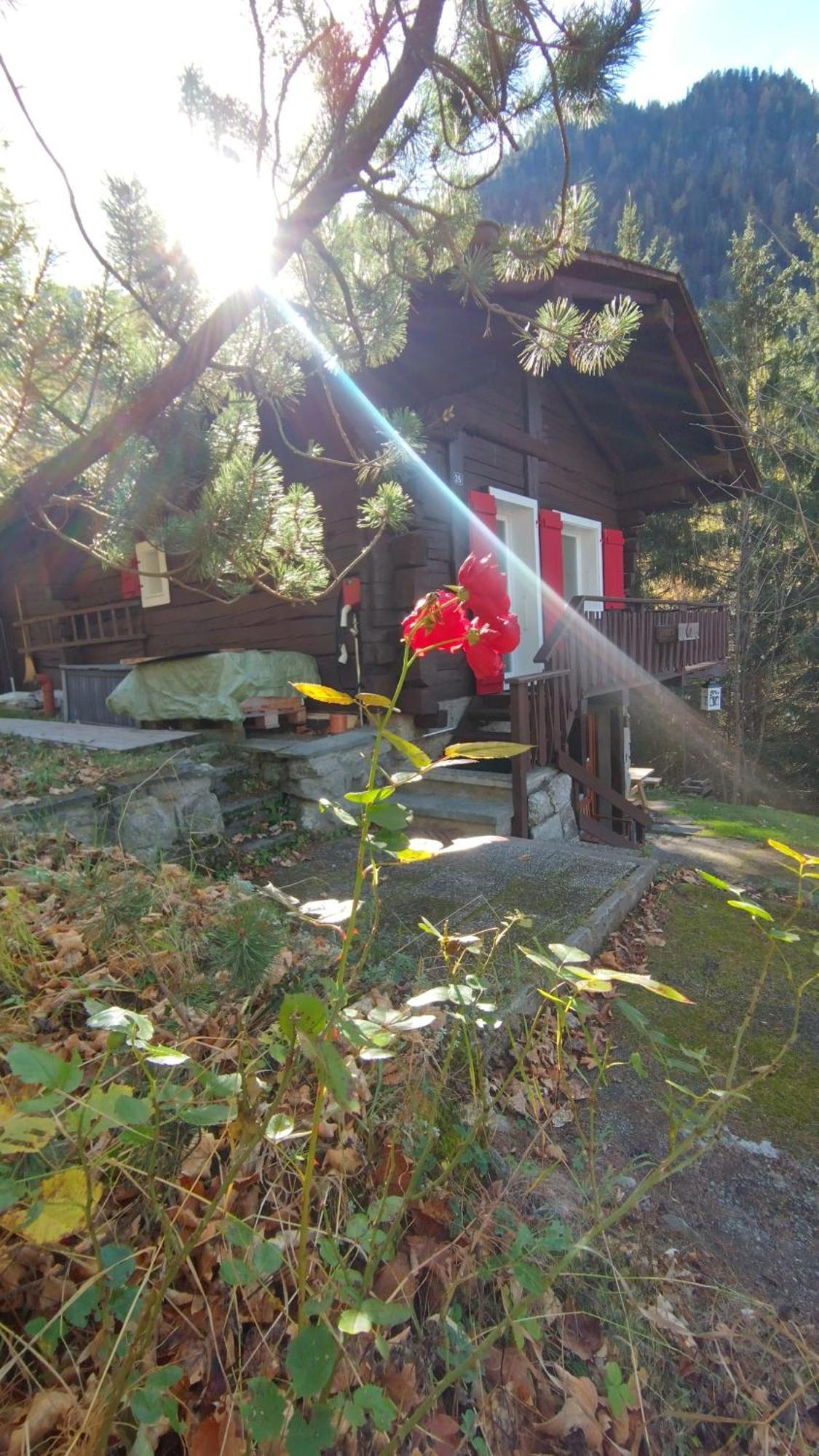 Petit Chalet Rustique Et Bucolique Bovernier Exterior photo